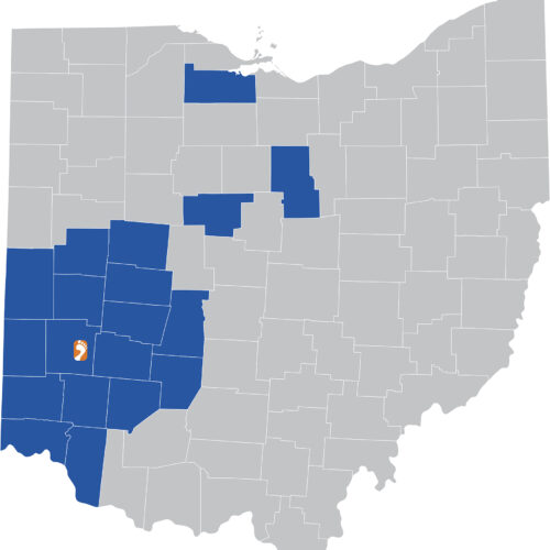 Ohio state map with counties. Vector illustration.